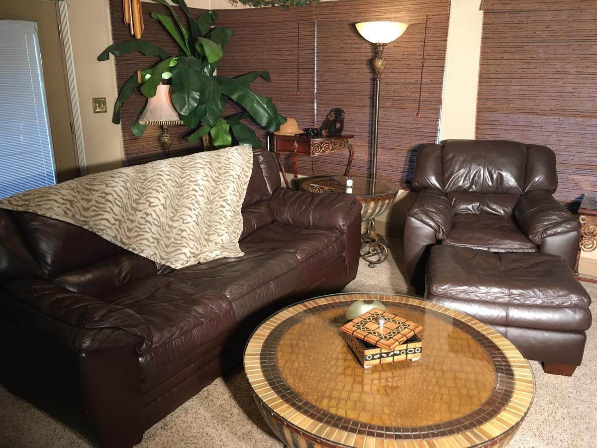Safari Suite
