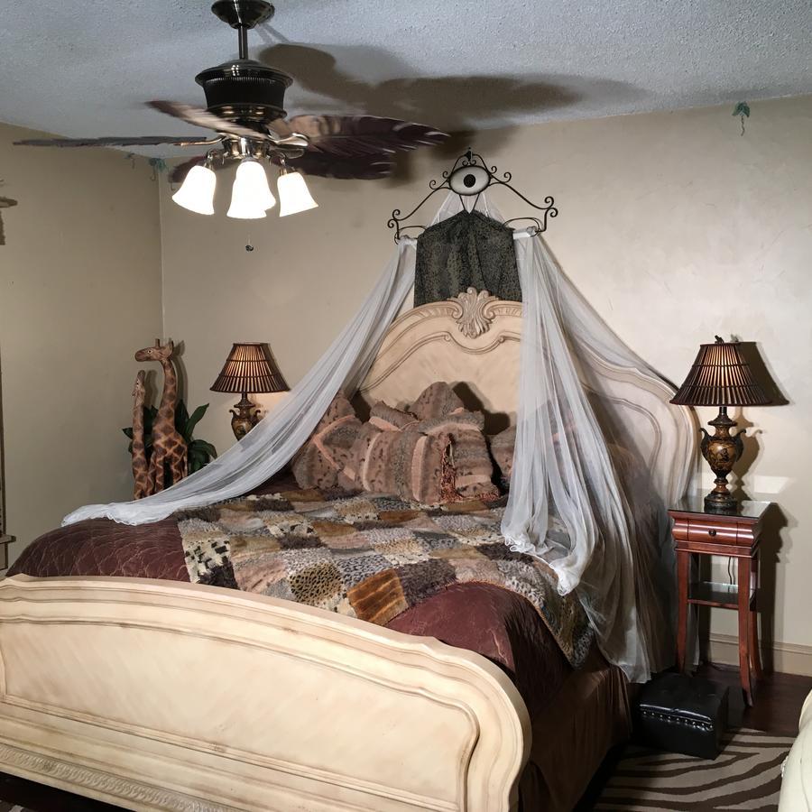 Safari Suite