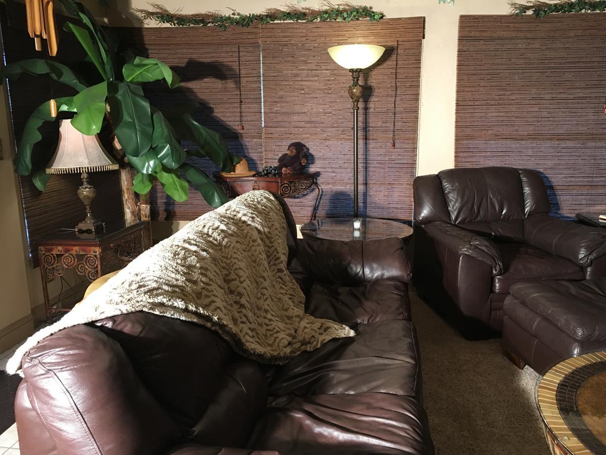 Safari Suite